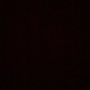 Meet your Posher, Eliza